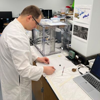 A young researcher extracts a sample of a tick in a laboratory workspace at Acadia.
