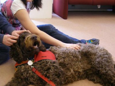 Acadia Library Paws Room