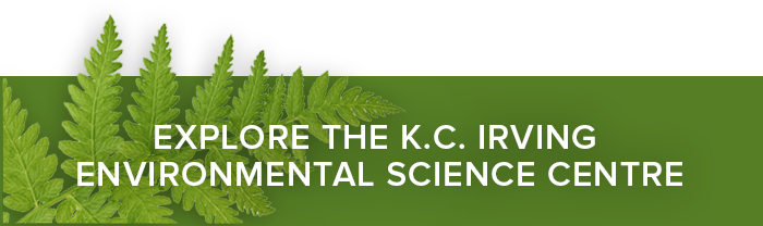 Explore the K.C. Irving Environmental Science Centre