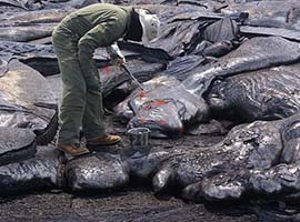 Environmental Geoscience