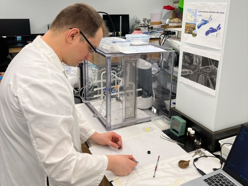 A young researcher extracts a sample of a tick in a laboratory workspace at Acadia.