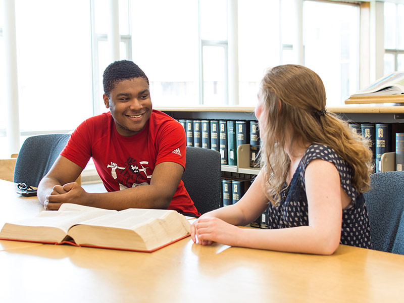 A pair of students study together in the Vaughan Memorial Library